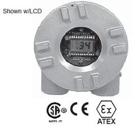 1645272990341814.jpg 12.jpg